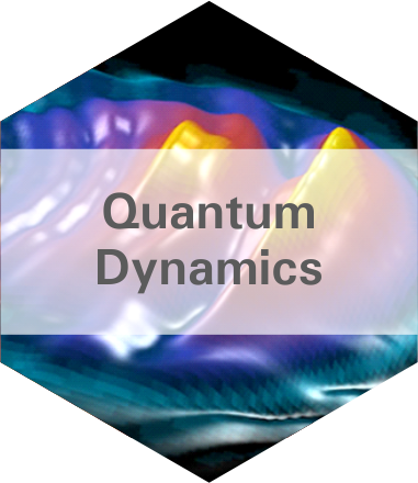 Quantum Dynamics