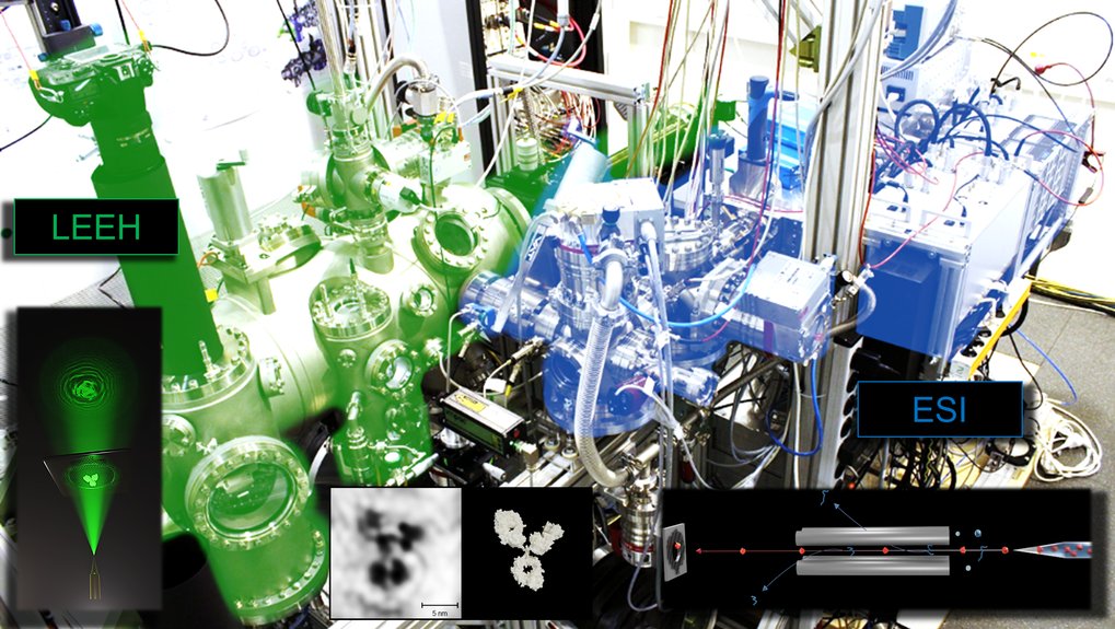 Low Energy Electron Holographyand in-situ Electrospray Ion Beam Deposition 