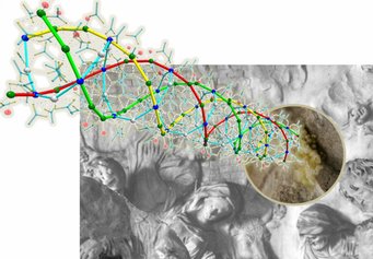 Identification and tentative removal of collagen glue in