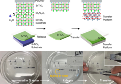 Step by step visualization of the transfer process of releasing and transferring a freestanding oxide membrane onto a new substrate. The top panel shows a schematic of how the lift-off of the membrane works by dissolving the water soluble aluminate layer and the bottom panel shows each of the transfer steps photographically.