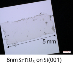 A transferred SrTiO3 membrane of 2 mm x 5 mm lateral size and a thickness of 8 nm, on a silicon chip.