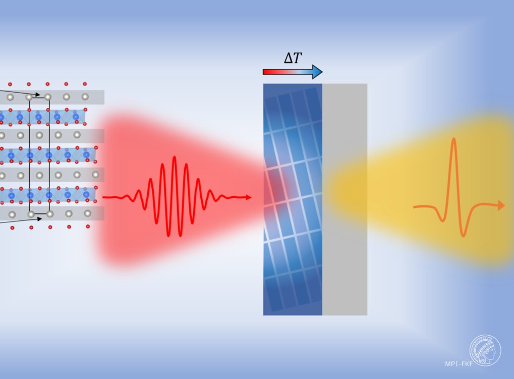 Robust weak antilocalization due to spin-orbital entanglement in Dirac  material Sr3SnO