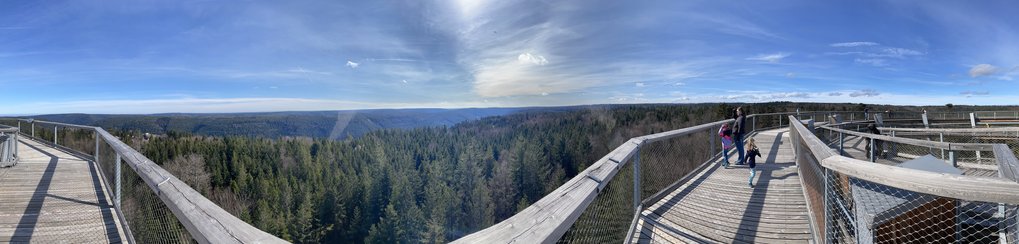 Panoramablick von dem Turm des Baumwipfelpfades