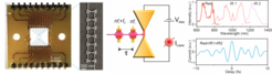 Coherent electron oscillations induced in the nanoantenna junction by the incident laser pulses can be traced in real-time by the novel technique of optical homodyne beating