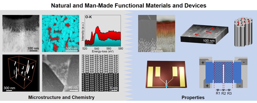 Microstructure-Property Synergy in Functional Materials