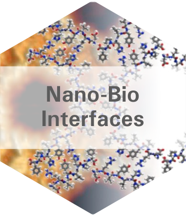 Nano-Bio Interfaces